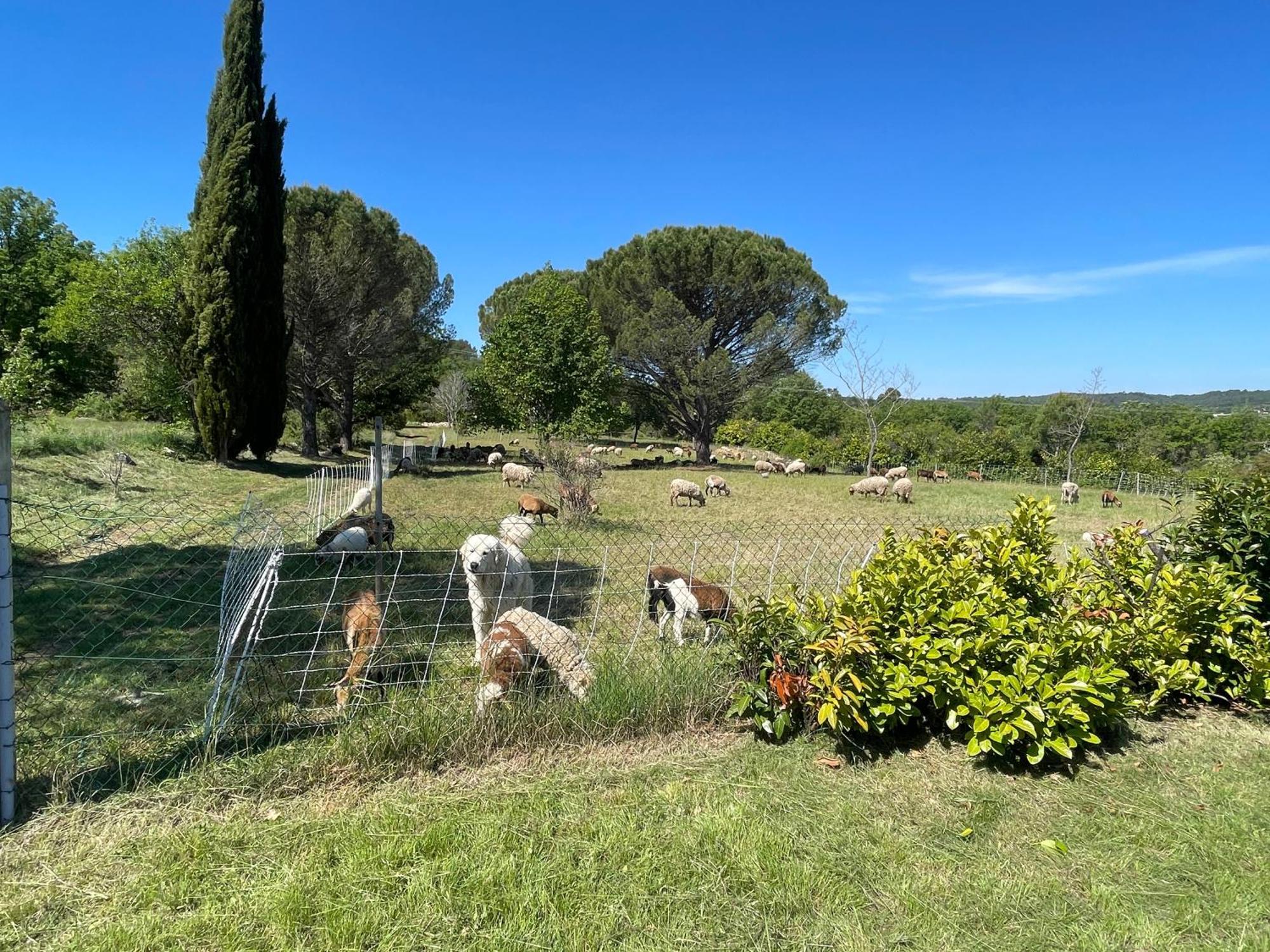 Villa Raphael Régusse Dış mekan fotoğraf